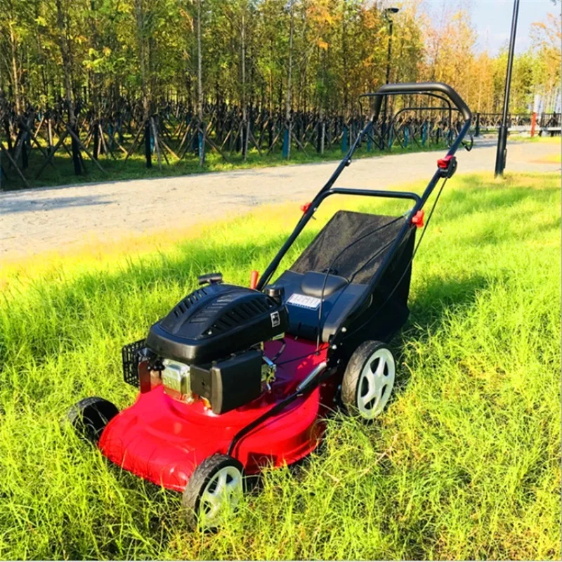 21-Inch self-propelled lawn mower 196cc 4-stroke engine