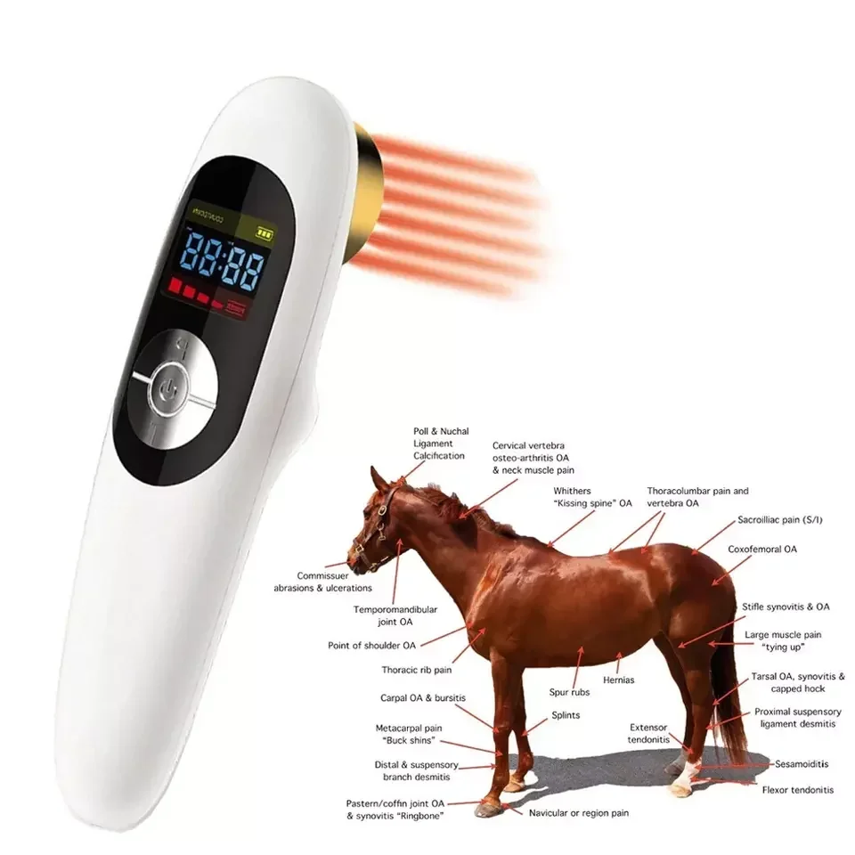 

Hot Selling Veterinary Equipment 808nm Cold Laser Therapy Animals Wound Healing Physiotherapy