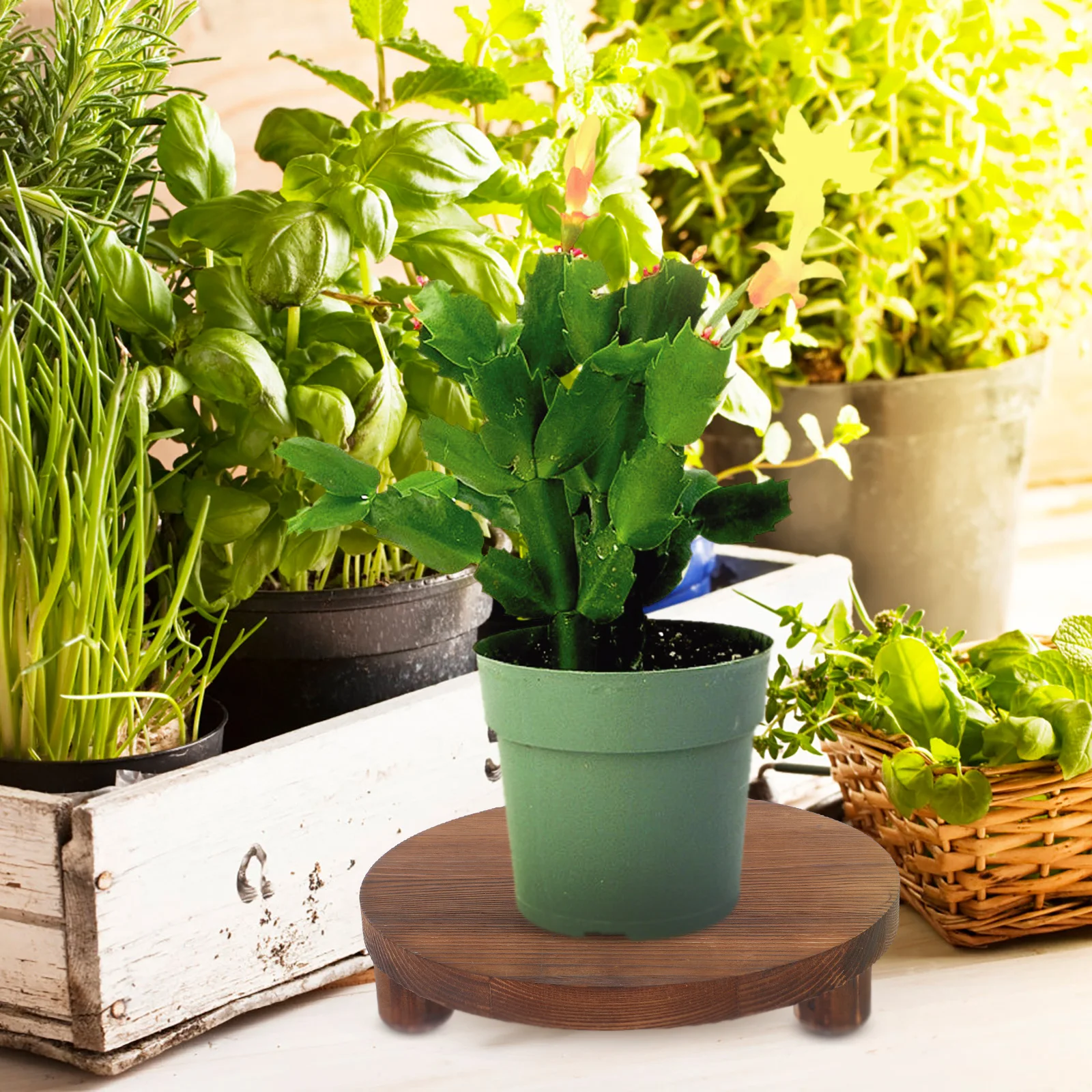 

Solid Wood Flower Pot Stand Indoor Flowerpot Pedestal Cosmetics Riser Succulents Holder