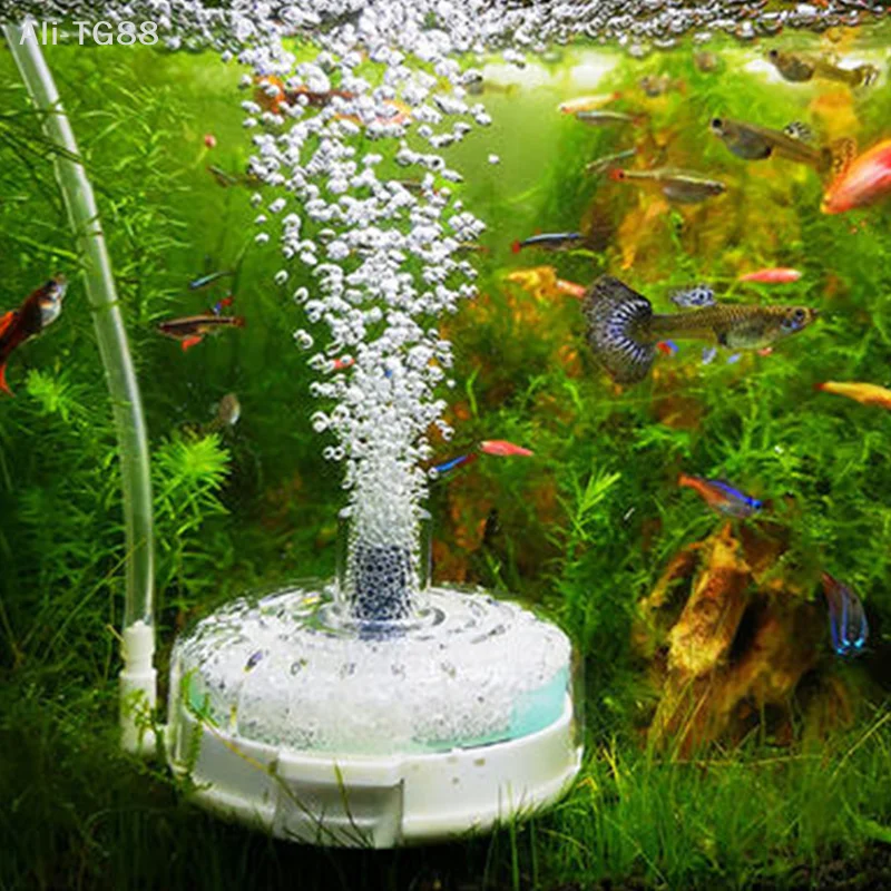 Kleiner Aquariumfilter Wasserpumpe mit Fortschrittlichem Filtrationssystem Belüfter für Terrarium Teich Schildkröten- & Salzwasser-Aquariumpflege