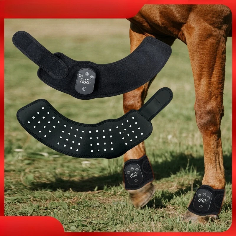 Pet physiotherapy instrument Light therapy Horseshoe infrared physiotherapy Horseshoe light Horseshoe leg intense exercise red
