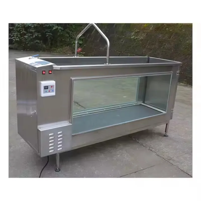 Dog Fitness Equipment Hydrotherapy Pet Cheap Water Dog Underwater Treadmill Large for Dog PET Cheap Price Custom