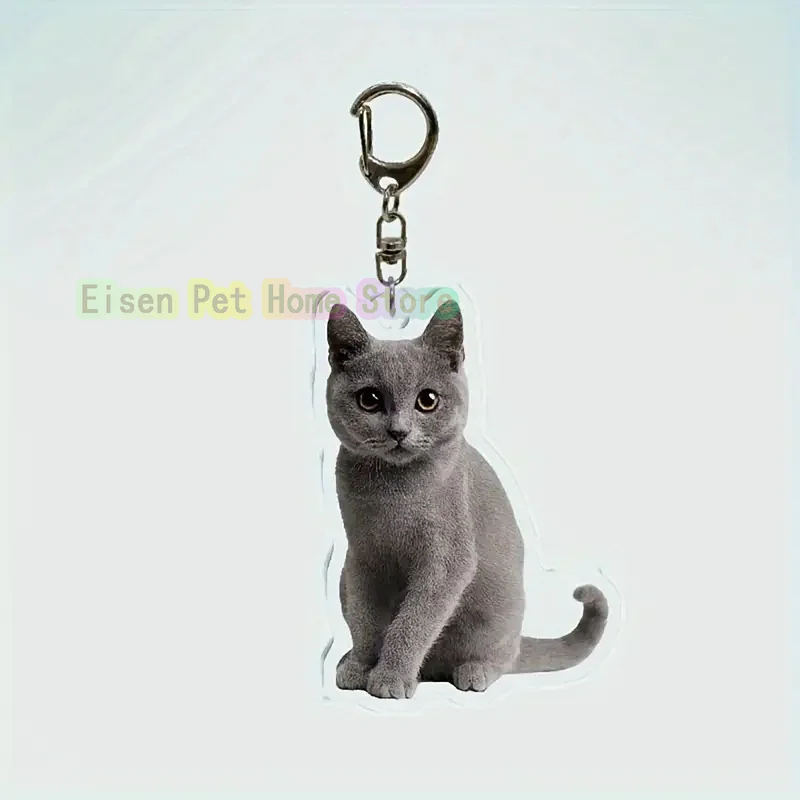 Funny Cat Key Chain Keychains Ring for Accessories Bag Pendant Keyring Jewelry Cute Animal Pet Llaveros Friends Gifts Cool Cats