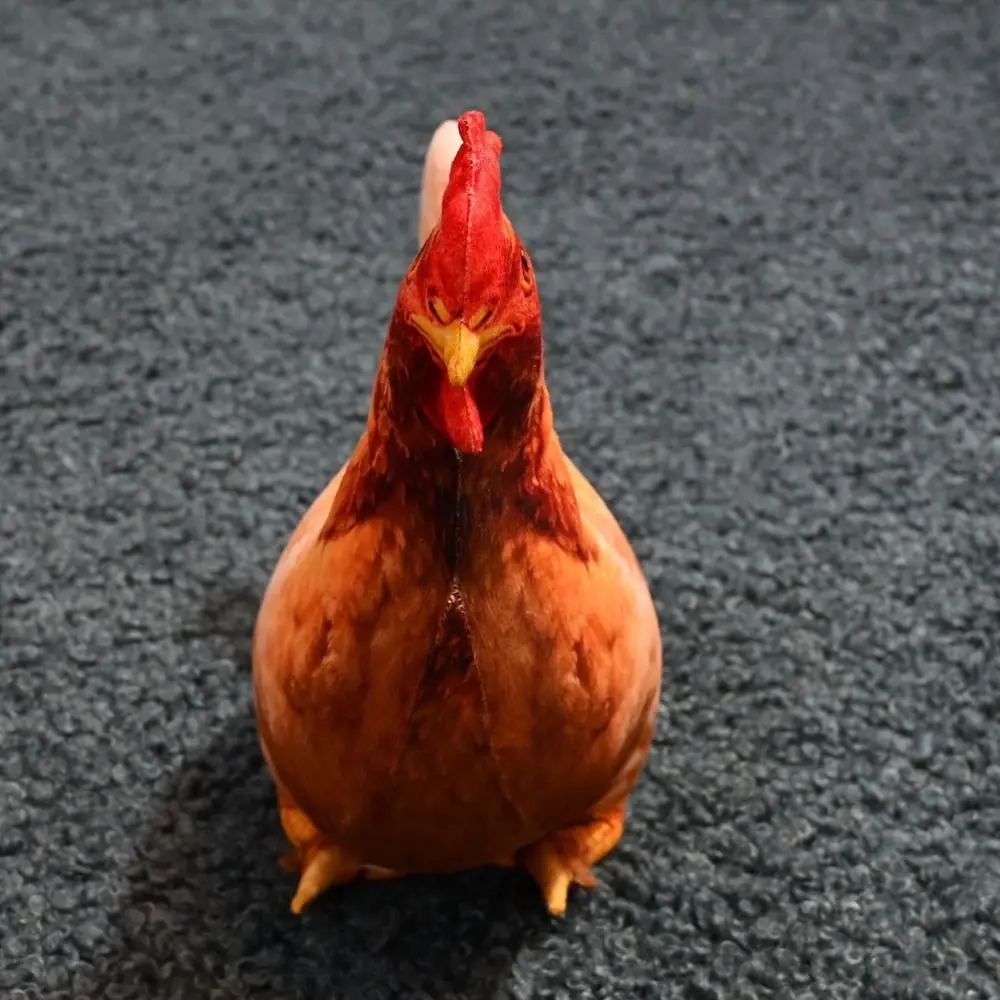 Versatile Material Animal Body Pillow PP Cotton Filled 35cm Poultry Throw Pillows Cute Design Soft Texture Animal Cushion For