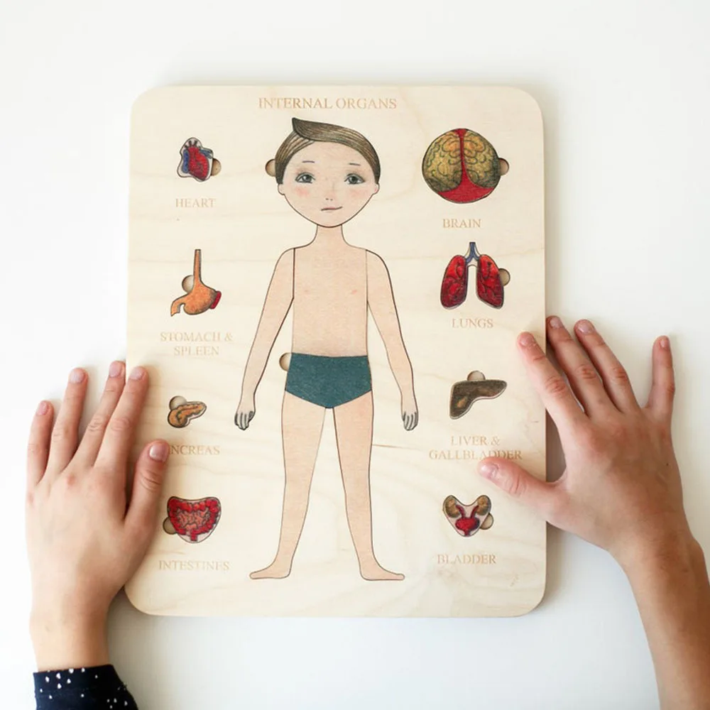 Montessori Wooden Puzzle Male Female Human Body Parts Match Board Game Puzzle Internal Organs Educational Wooden Jigsaw