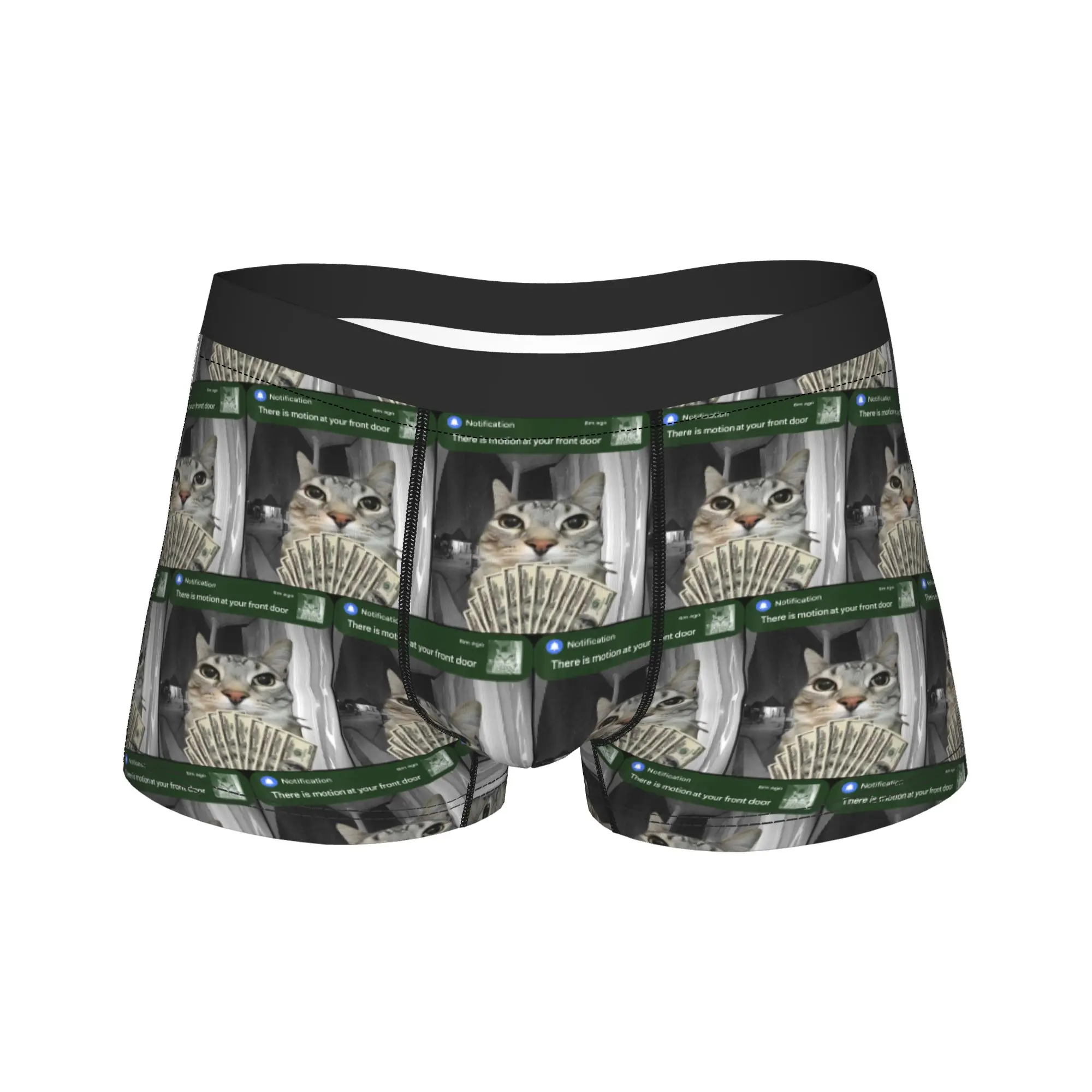 There is Motion at Your Front Door Funny Cat Motion Meme Underwear Shorts Briefs Sexy Soft Boxer Shorts Trenky Oversize Panties