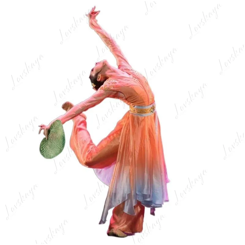 

Классический танцевальный костюм Hanfu с водяными рукавами для тренировки классической танцевальной одежды