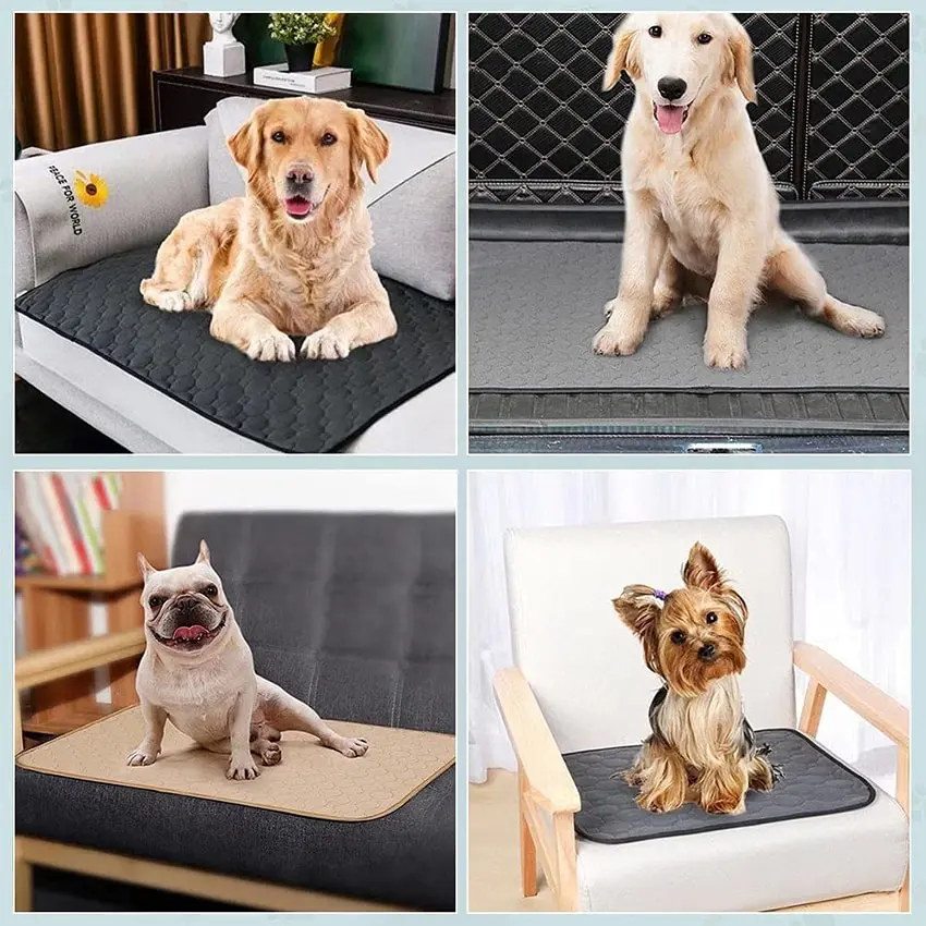 Almofada de treinamento lavável Pet, Dog Pee Mat, Super Absorvente, Non-Slip, Puppy Crate, Almofadas de incontinência reutilizáveis para cães, gatos, coelho