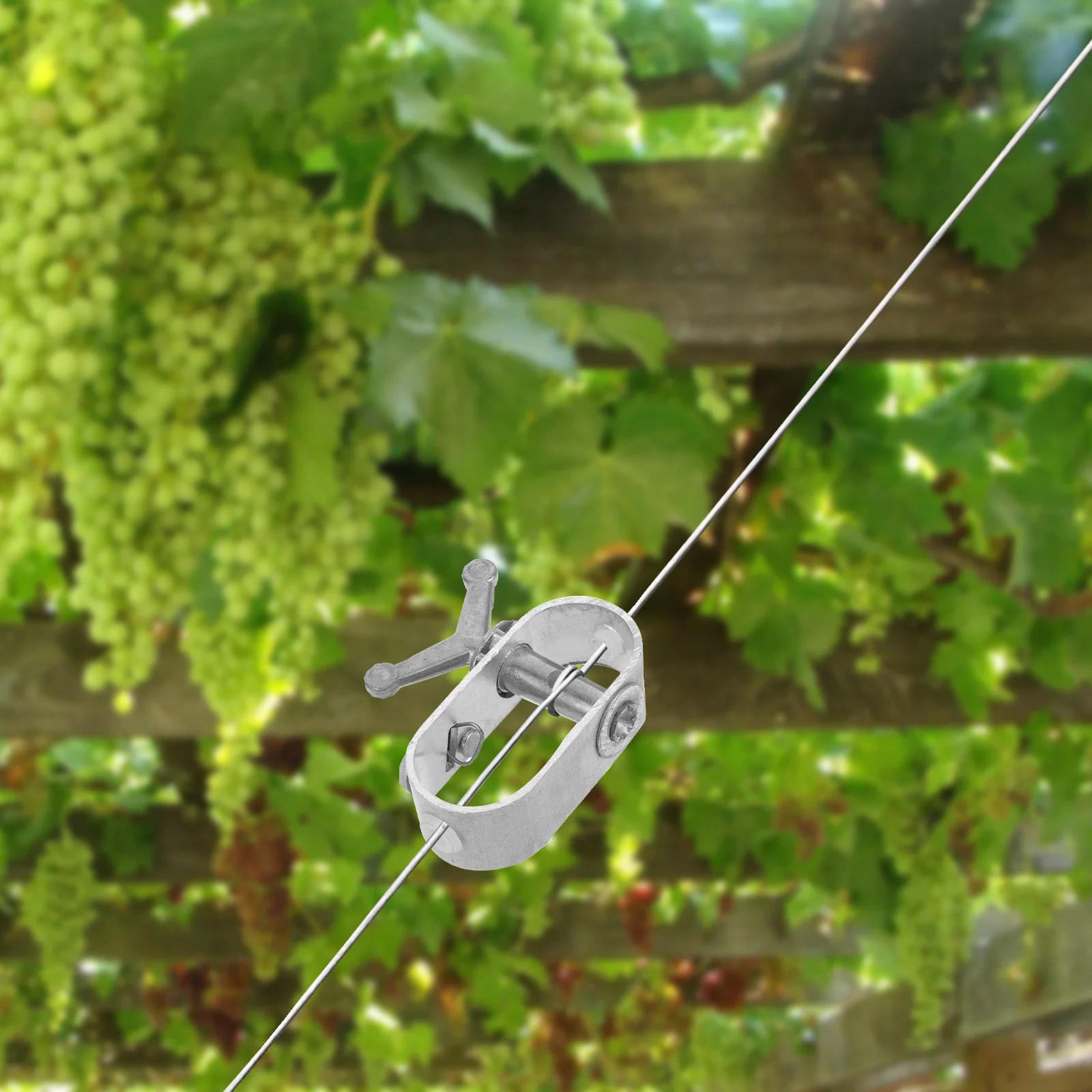 

Steel Cable Tightener Heavy Duty A3 Steel Rope Tensioner For Fruit Trees Greenhouse Pool Tool Wire Tensioners