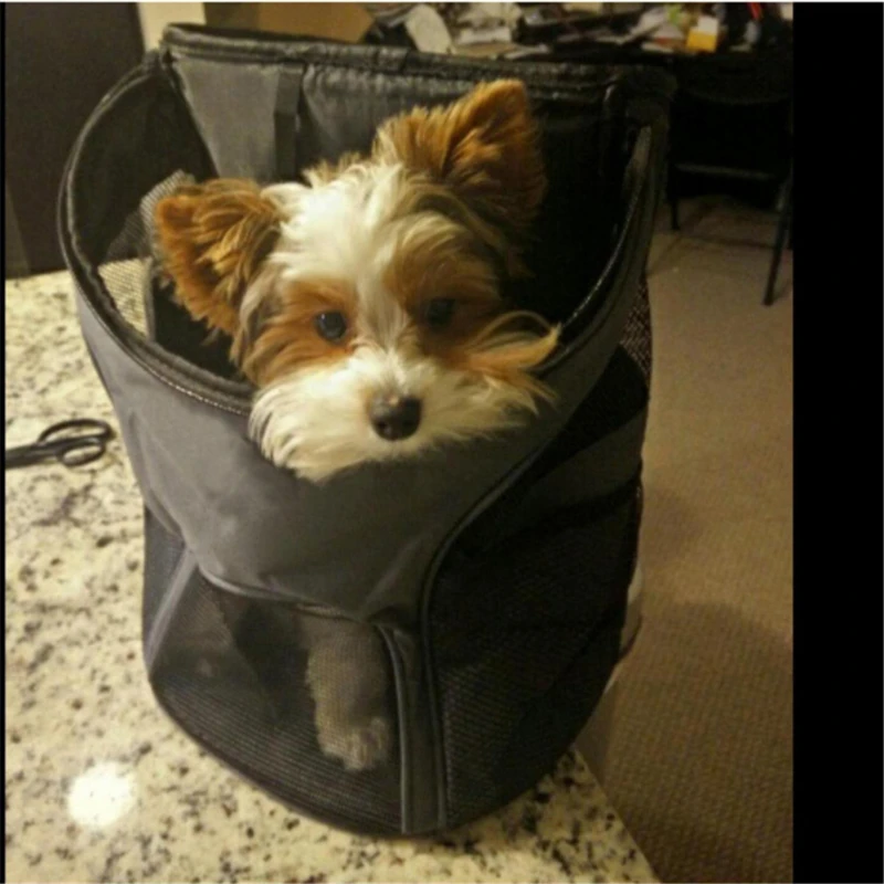 Puppy Kitten Carry Bag Double Shoulder Portable Travel Backpack Outdoor Pet Dog Carrier Bag Pet Dog Front Bag Mesh Backpack Head