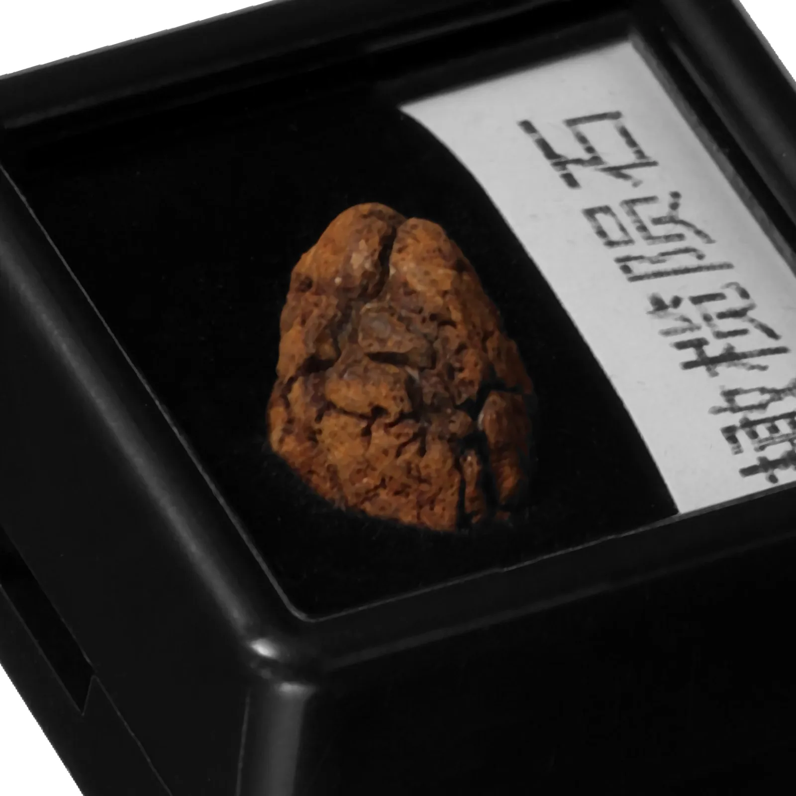 

Olive Meteorite Specimen Sample Stone Classroom Teaching Specimens Irregular