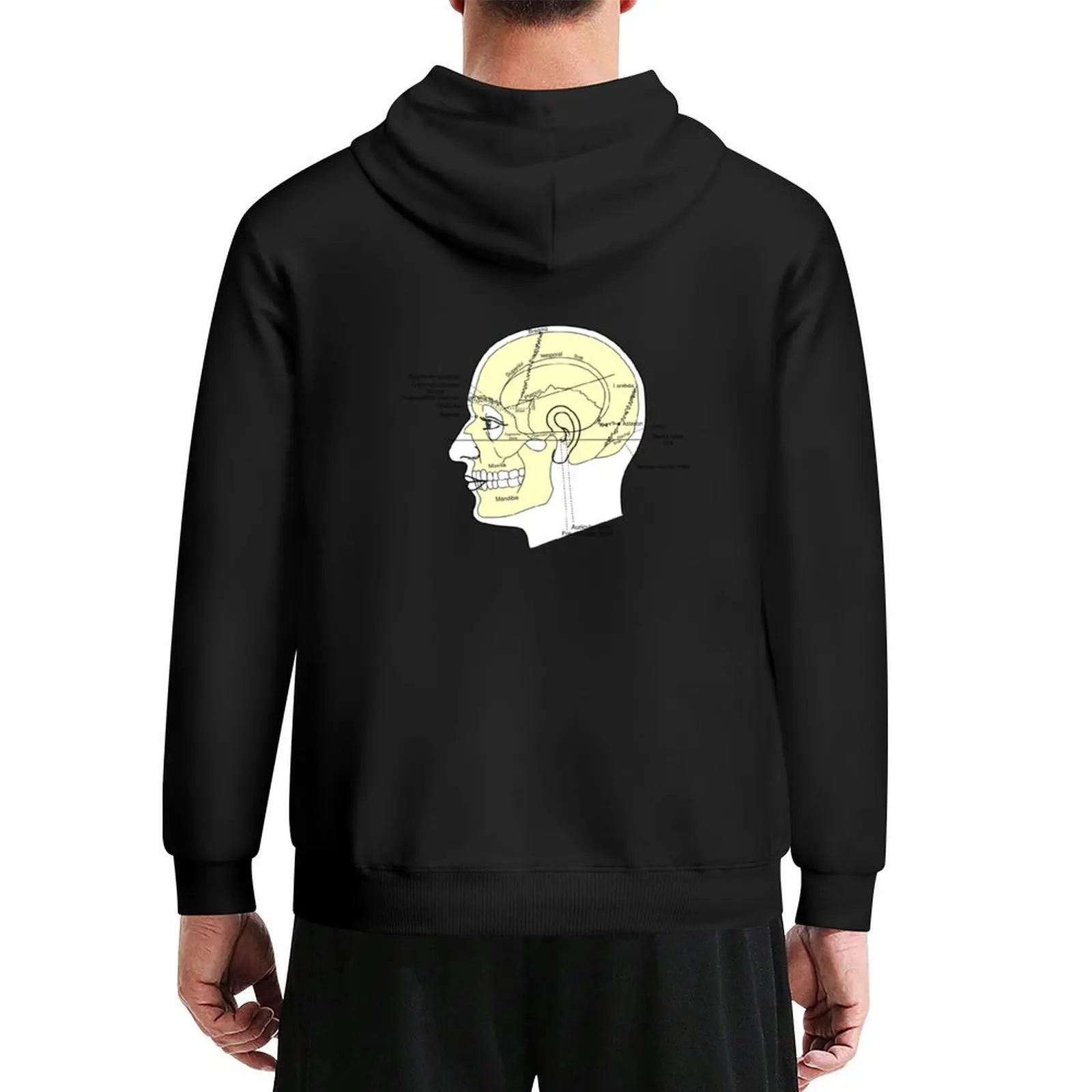 

Cranium Diagram Hoodie men's coat autumn mens clothes anime clothes big size hoodie