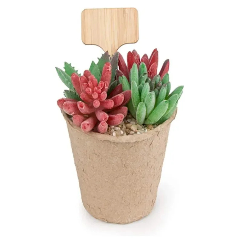 hot sale t-type wooded plant labels eco-friendly garden bamboo tags for seed potted herbs flowers vegetables waterproof signs