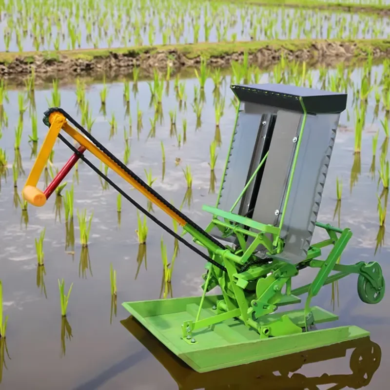 Small 2-rows Household Hand-crank Rice Transplanter Farm Rice Planting Machine Seedling Cultivation Equipment