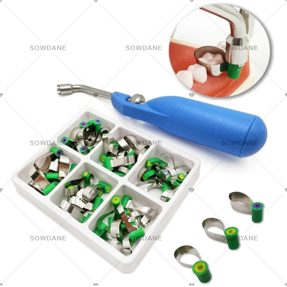 C Lab Double-Side Reel Knob Type Matrices Shaped Double-Side Steel Matrix Bands Stainless Steel with Tools