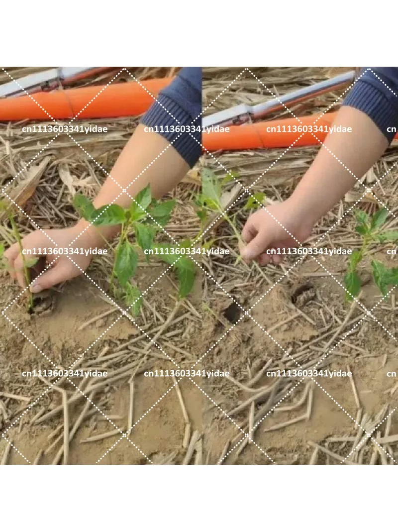 Agricultural Seedling Transplanter Garden Planting Tool for Tomato Pepper Seedling Planting