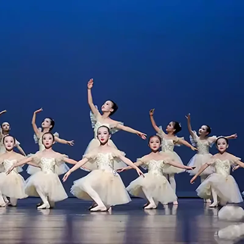 

Black Long Romantic Ballet Tutu Girl Women Ballet Costume Performance Ballet Dance Dress Girls Tutu Skirts Tulle Dance Wear