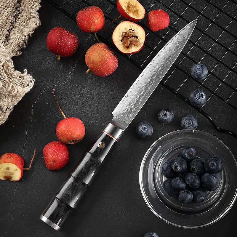 TJ POP Forged 5 Inch Utility Knife 67 Layer Damascus Steel Multi-Purpose Knife Pakkawood Handle Sharp Paring Peeler Fruit Knife