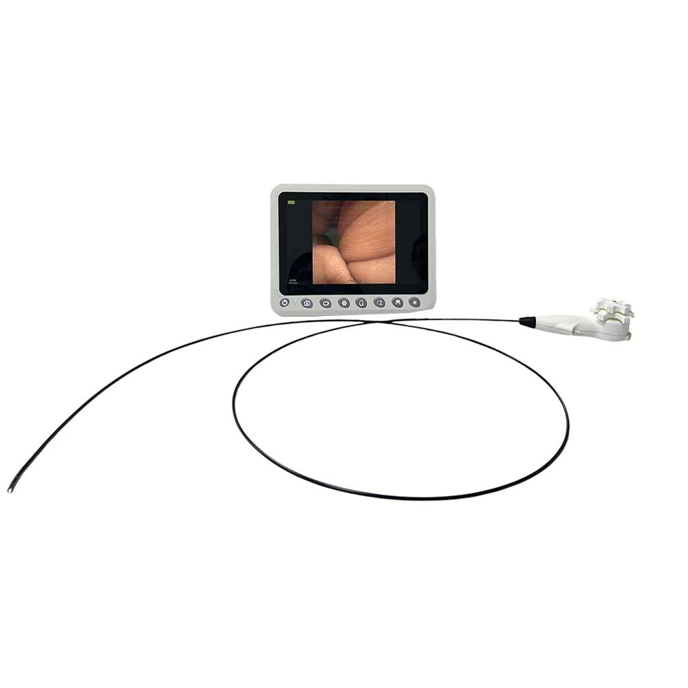 3,8 мм 400X400p Ercp Scope одноразовый холодоскоп одноразовый гибкий эндоскоп ветеринарный медицинский для телефона и ПК