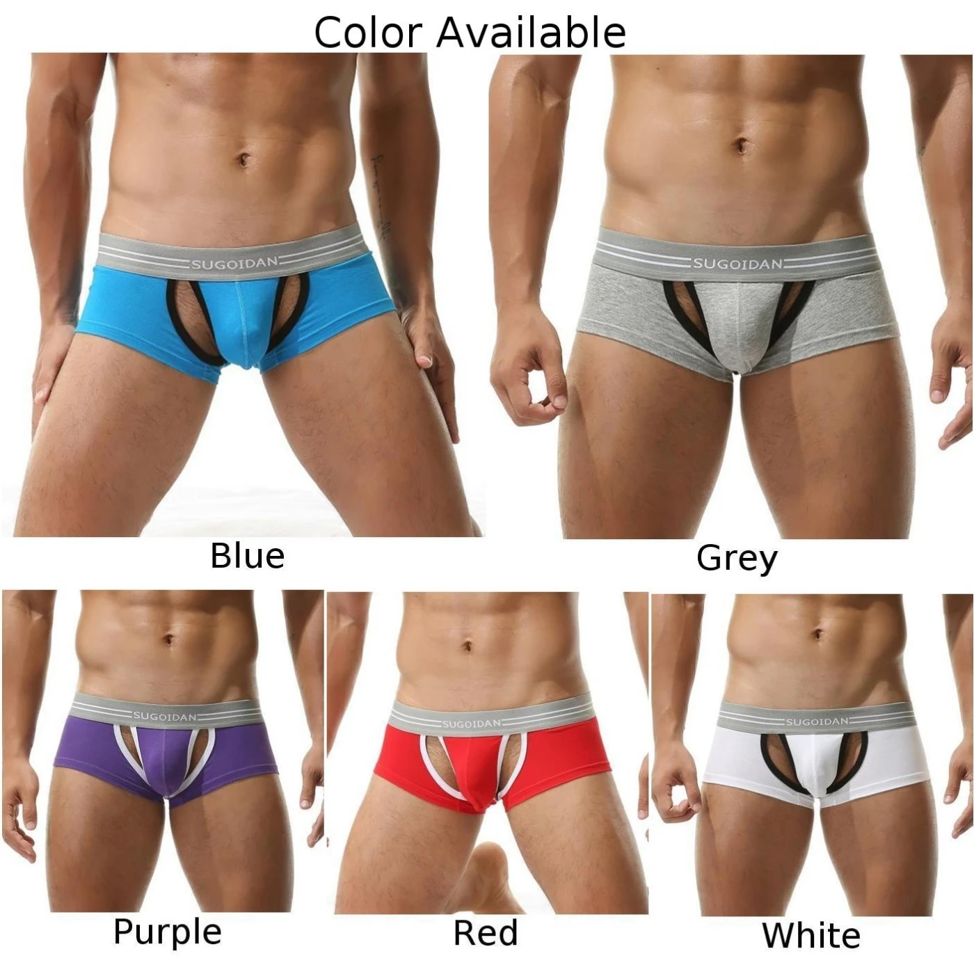 Hollow Breathable Panties Sexy Mens Classic Trunk Micro Pouch Low Waist Sheer Underwear Underpants Exposed Peniss