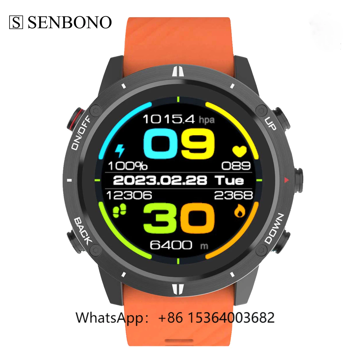 TJXL-SENBONO 2023 O… - image