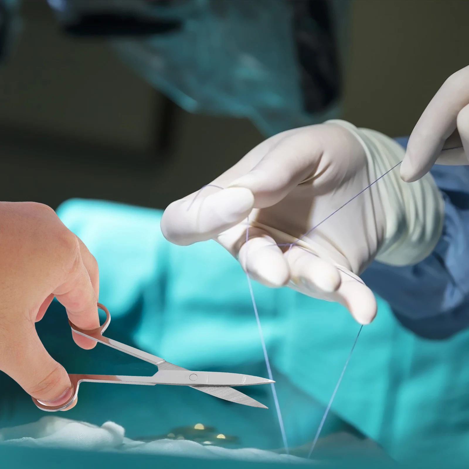 

Dissecting Scissors Nickel Plating Laboratory Surgery Animals First Aid Experiment Anatomy Plated Student
