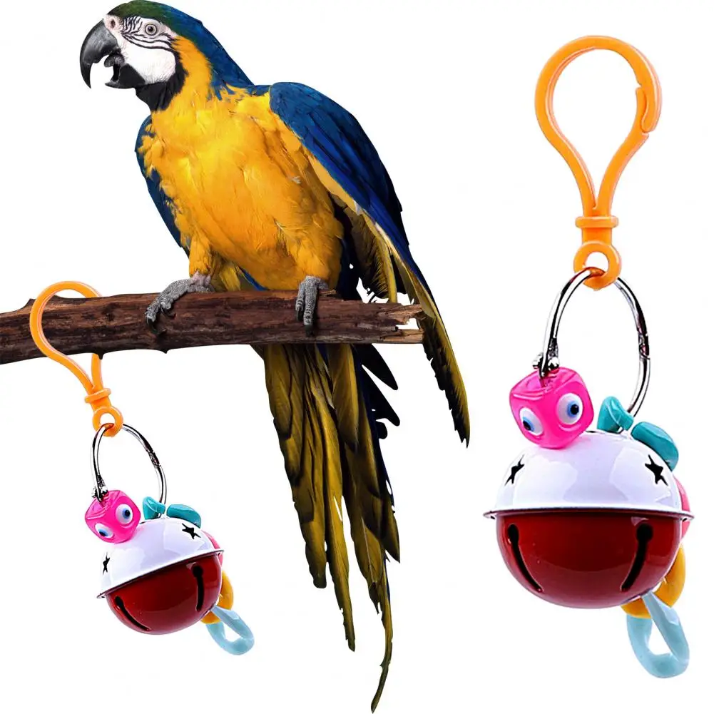 Durable Quickly Disassemble Scratch-resistant Bright Colors Hanging Parrot Scratching Toy Bird Chain Toy Grinding Mouth