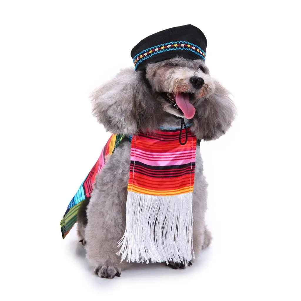 Pet Costume, S/L,Dog Puppy Mexican Serape Poncho with Black Hat Halloween