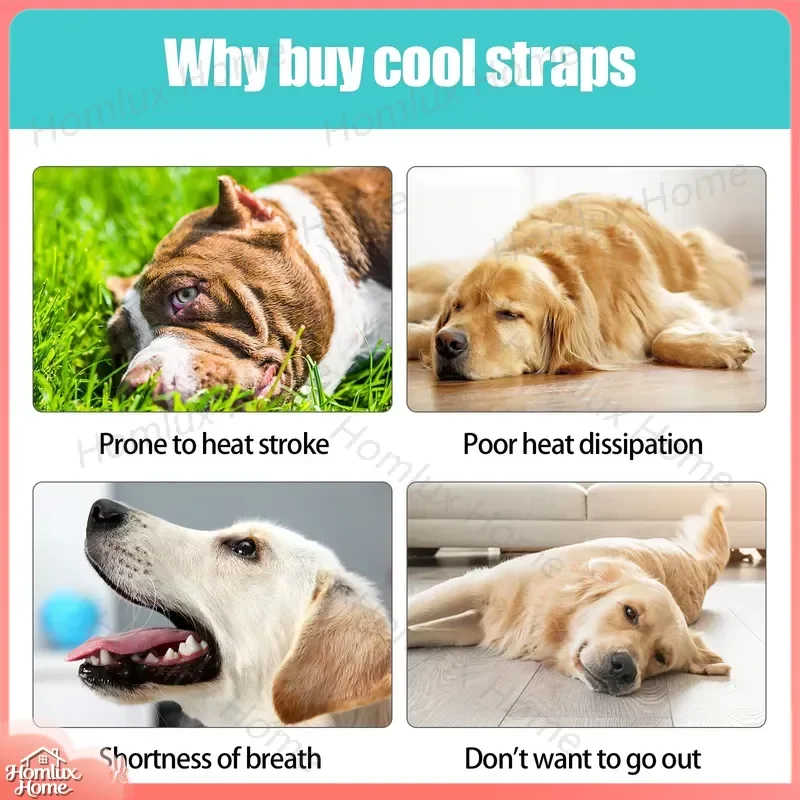 Dog Cooling Harness Vest Breathable Mesh Summer Pet Harness with Belt Clip Evaporative Cooling for Outdoor Walks Small Medium