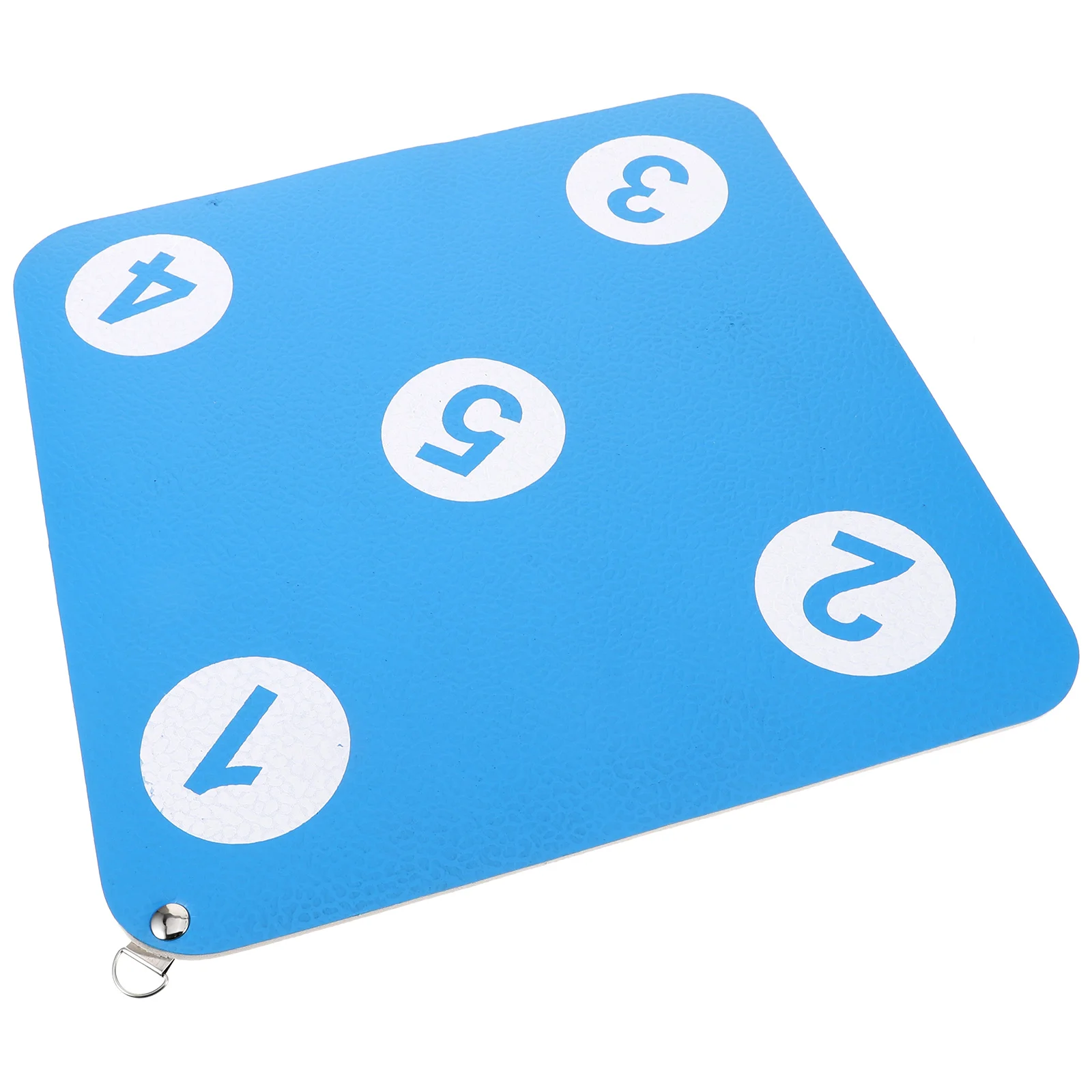

Fencing Target Double Sided Rubber Wall Hanging Practice Tool Small Size Portable Sturdy Blue Color Fitness Accessories