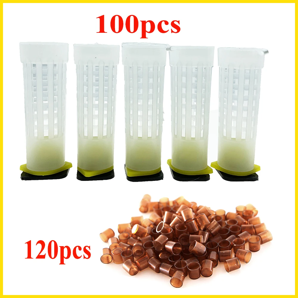 

Queen Rearing Kit 100PCS Plastic Cover Hair Roller Cage Protect Sealed Over Cup, 120PCS Deposit Egg Cells High Accepted Bee Tool