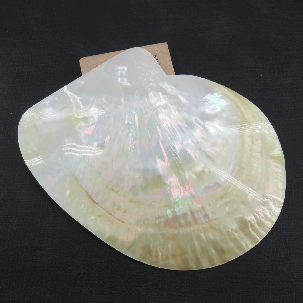 APDGG 1 Pc Big A015 Natural Mix Color Yellow White Shell Pearl Pendant Jewelry making accessories