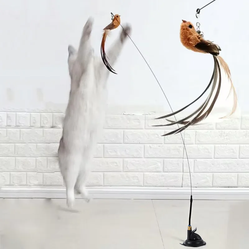 Suction Cup Cat Stick, Fixed Steel Wire, Long Pole, Feather Bird, Funny Cat Stick, Cat Toy, Self-Pleasure and Boredom Relief Art