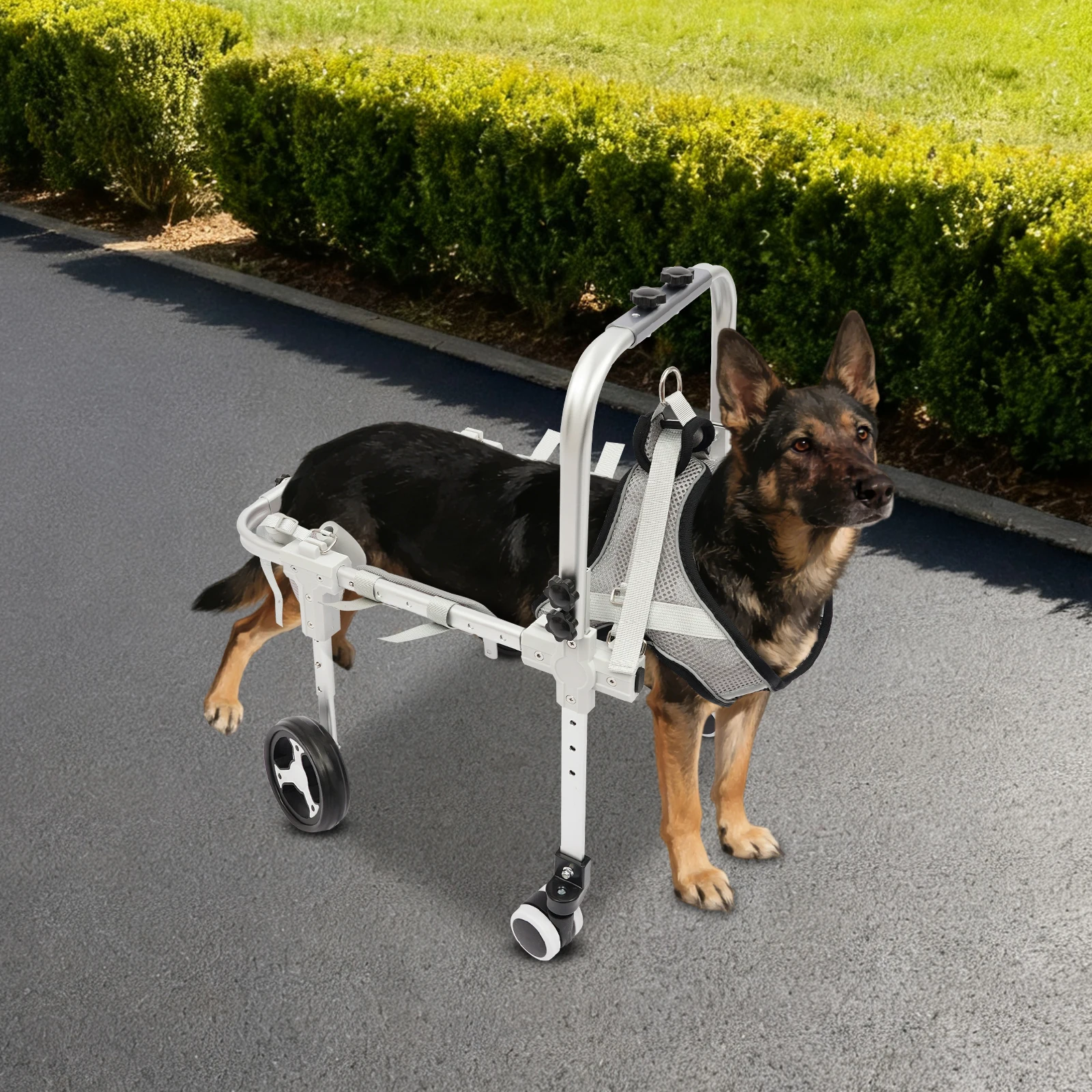 White Dog Wheelchair, Adjustable Dog Wheelchair for Back Legs, Pets Cart Mobility Aids, Dog Weight: 9.98-12.52kg/22-27.6 lbs