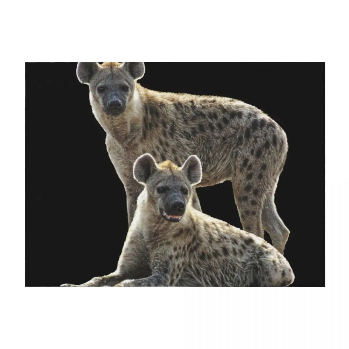 

Hyenas on safari in Kenya / Africa Throw Blanket Luxury Hairy Kid'S cosplay anime Blankets