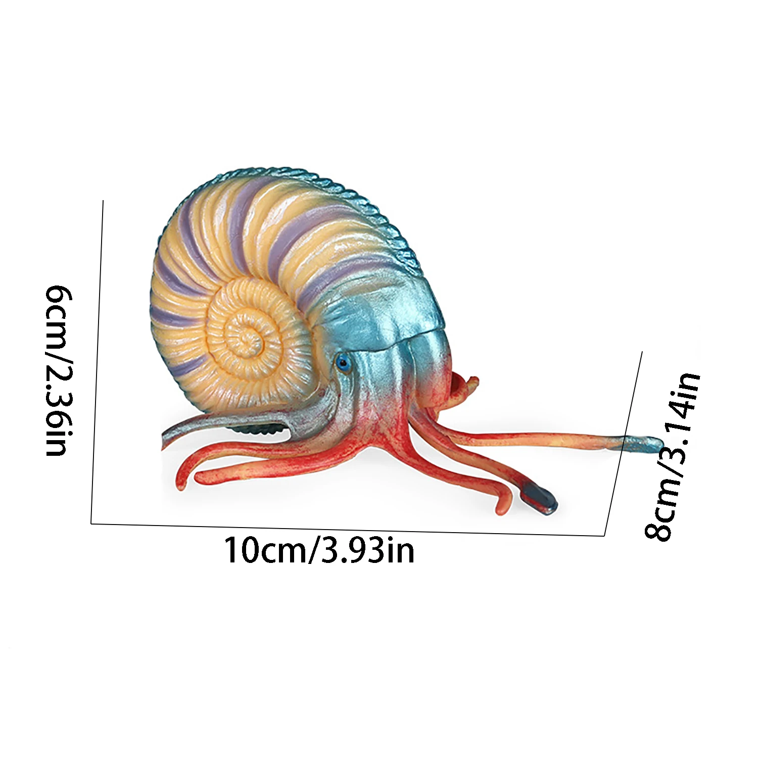 Marine animal model simulation toy Nautilus ornament children's toy figurine model early education