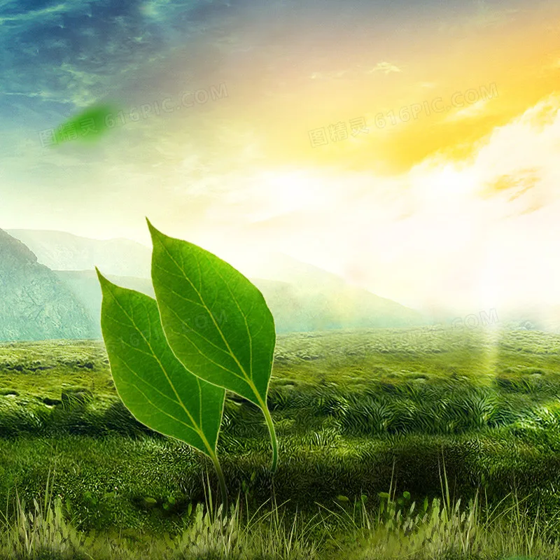 

Actimel Venus Legacy Оборудование для подтяжки кожи Вакуумное похудение Удаление целлюлита Вакуумный легиозный лифтинг кожи Спа-устройство для салона