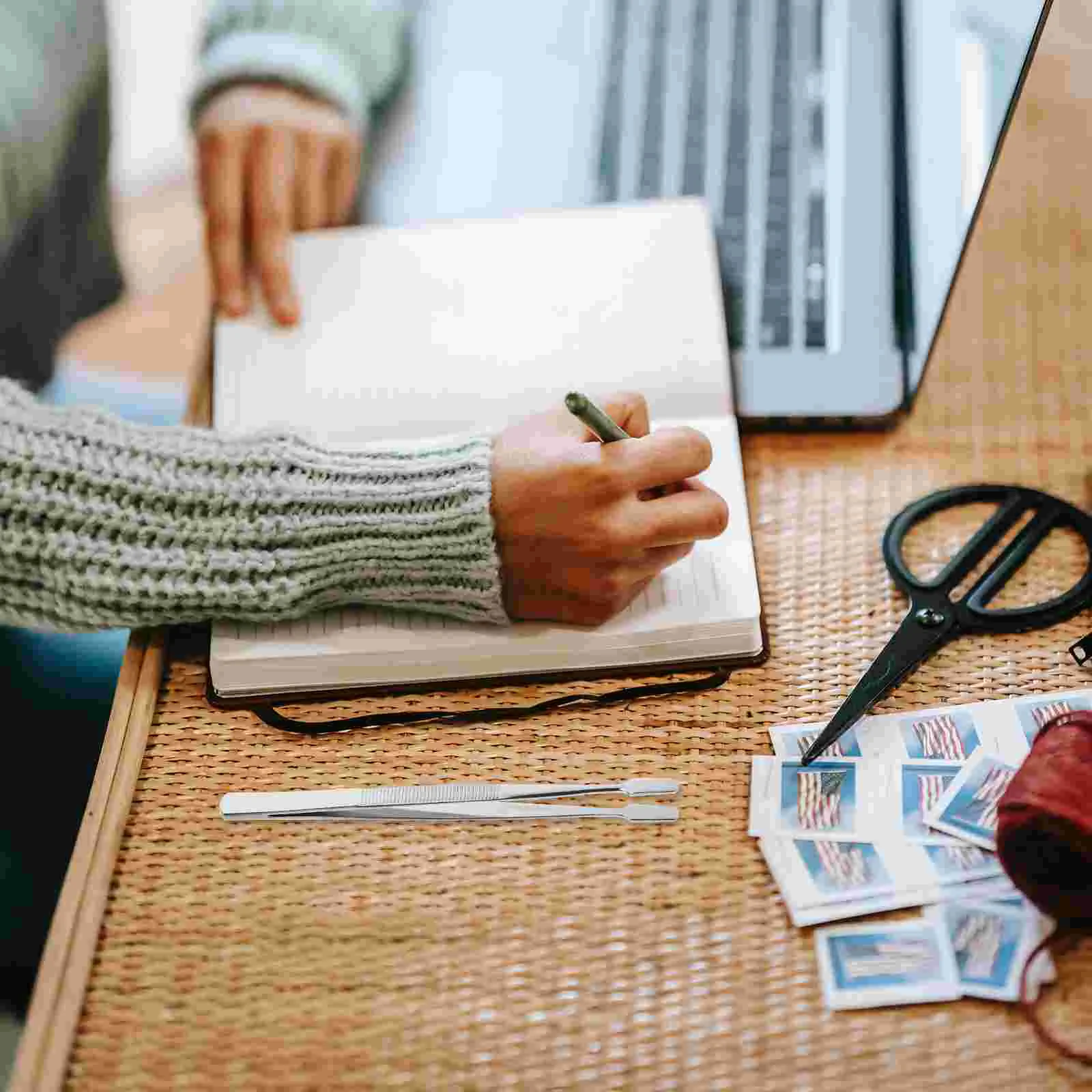 2 Pcs Stamp Collecting Hinges Tool Philately Tweezers Child -tweezers Postage Stamps