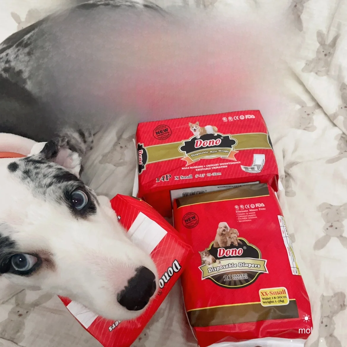 Dono Doggie Pañales para Perras, Pantalones Sanitarios para el Período, Toallas Sanitarias, Pantalones de Entrenamiento para Cachorros, Ropa Interior Absorbente para Perras en...