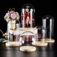 Multi size Glass Dome Display Bell Jar Cloche w/ Wood Base Handmade Home Decor