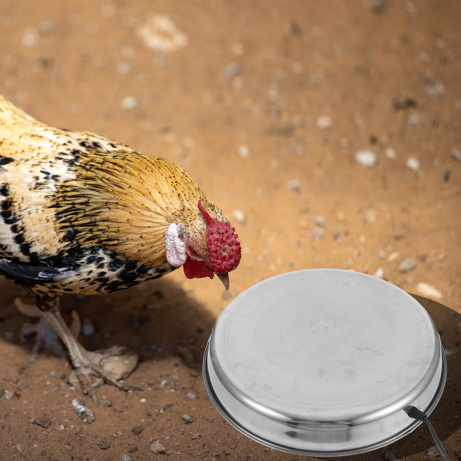 

Poultry Water Heater Daily Use Heating Base Drinking Fountain Feeding Equipment Steel Lightweight Farm Supply Chicken Waterer