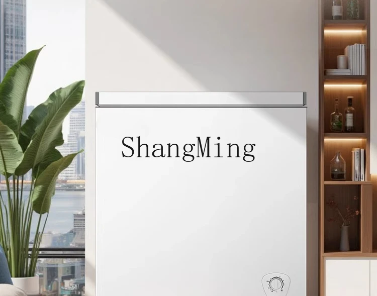 ZYY فريزر منزلي وتجاري يحافظ على الطازجة وتجميد ثنائي الغرض، وثلاجة موفرة للطاقة وتقليل الصقيع