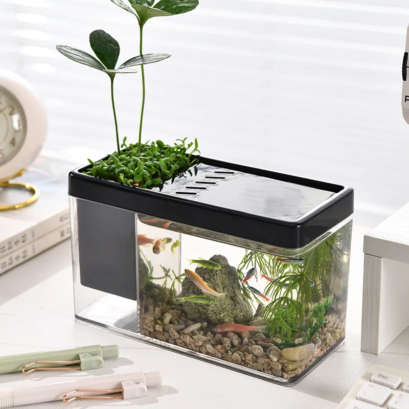 

Amphibious ecological Small fish tank aquarium Transparent goldfish bowl with cover living room landscape desktop tank