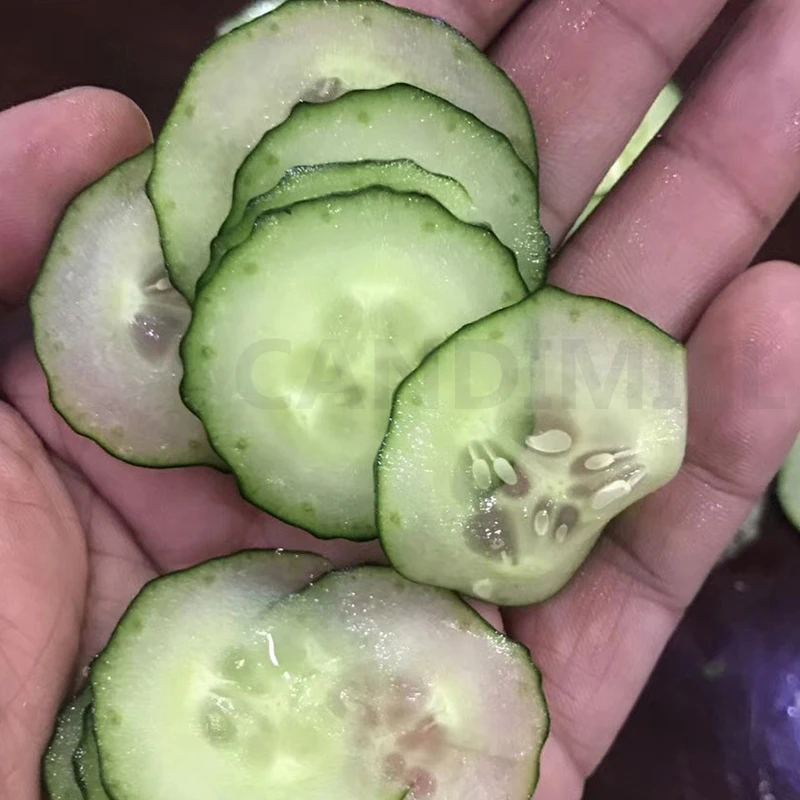 Cortadora eléctrica multifunción, cortadora de cebollas verdes, cortadora de verduras de acero inoxidable