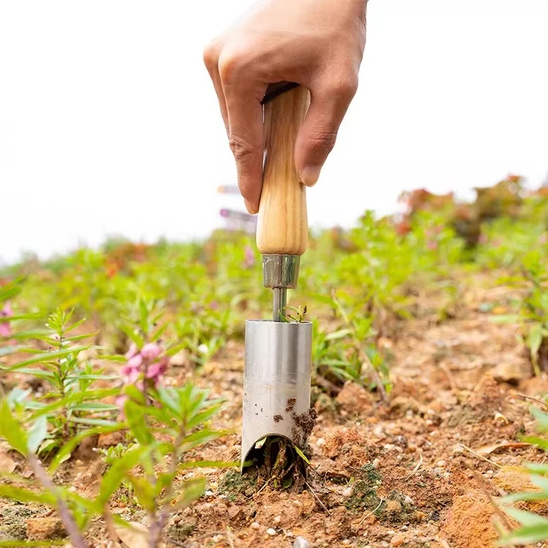 

Садовые инструменты из нержавеющей стали для улицы: для рассады, горшечных растений, цветов, копания земли, посадки саженцев.