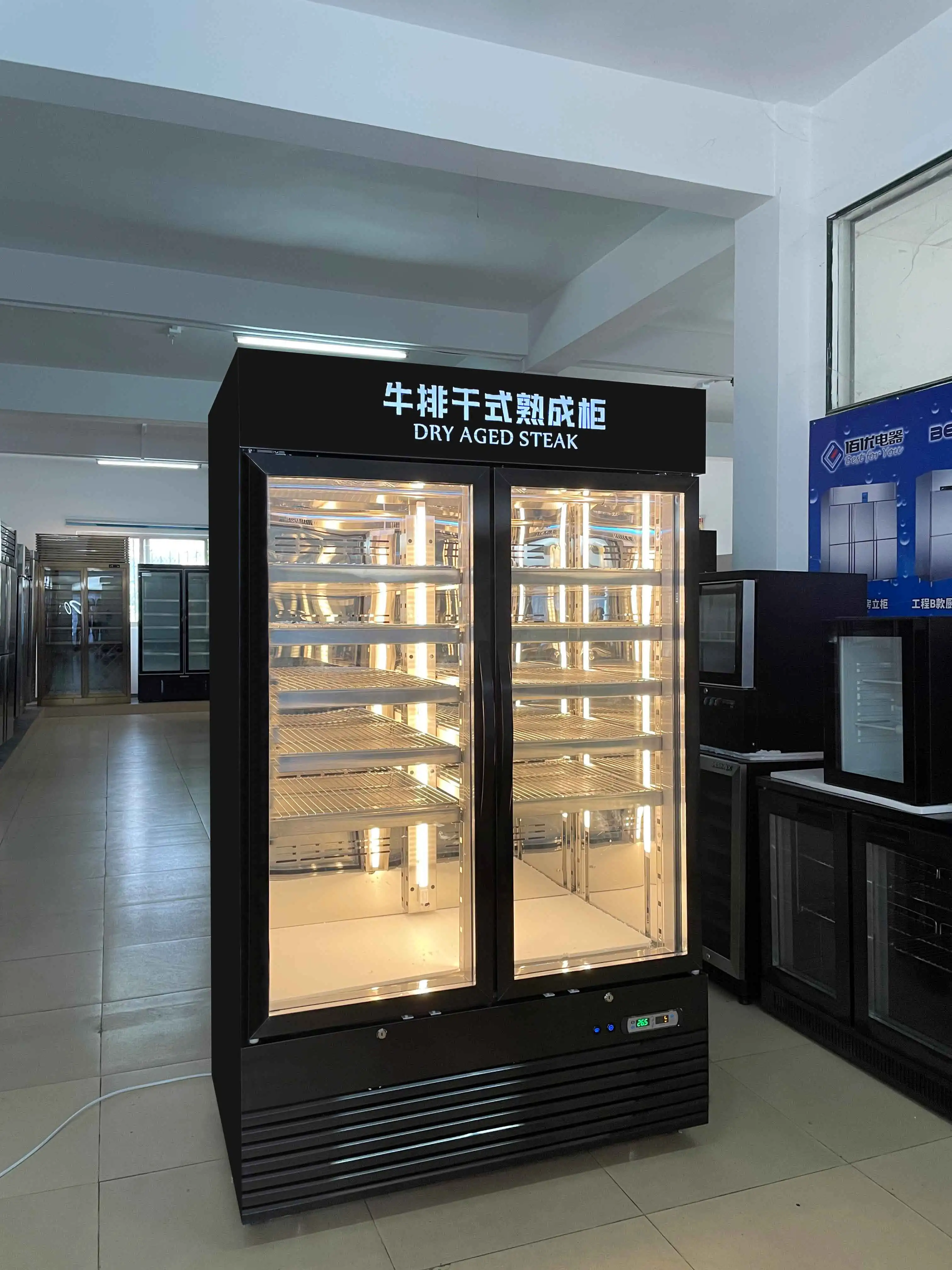 Single Temperature Beef Steak Aging Meat Cabinet Energy-saving Dry Ager Refrigerator for Beef Maturity Dry Aging Fridges
