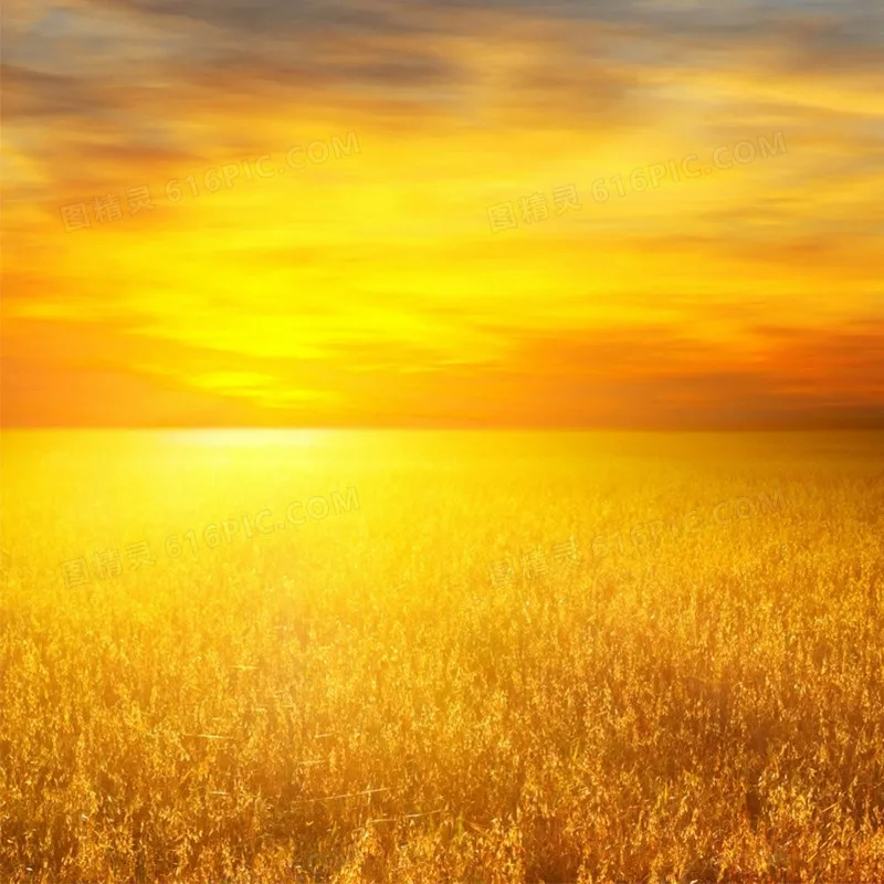 

Крепление подвеса B-CUBE Storm32: 3-осевой бесщеточный 32-битный — совместим с FPV-дроном GoPro3/4/SJ4000