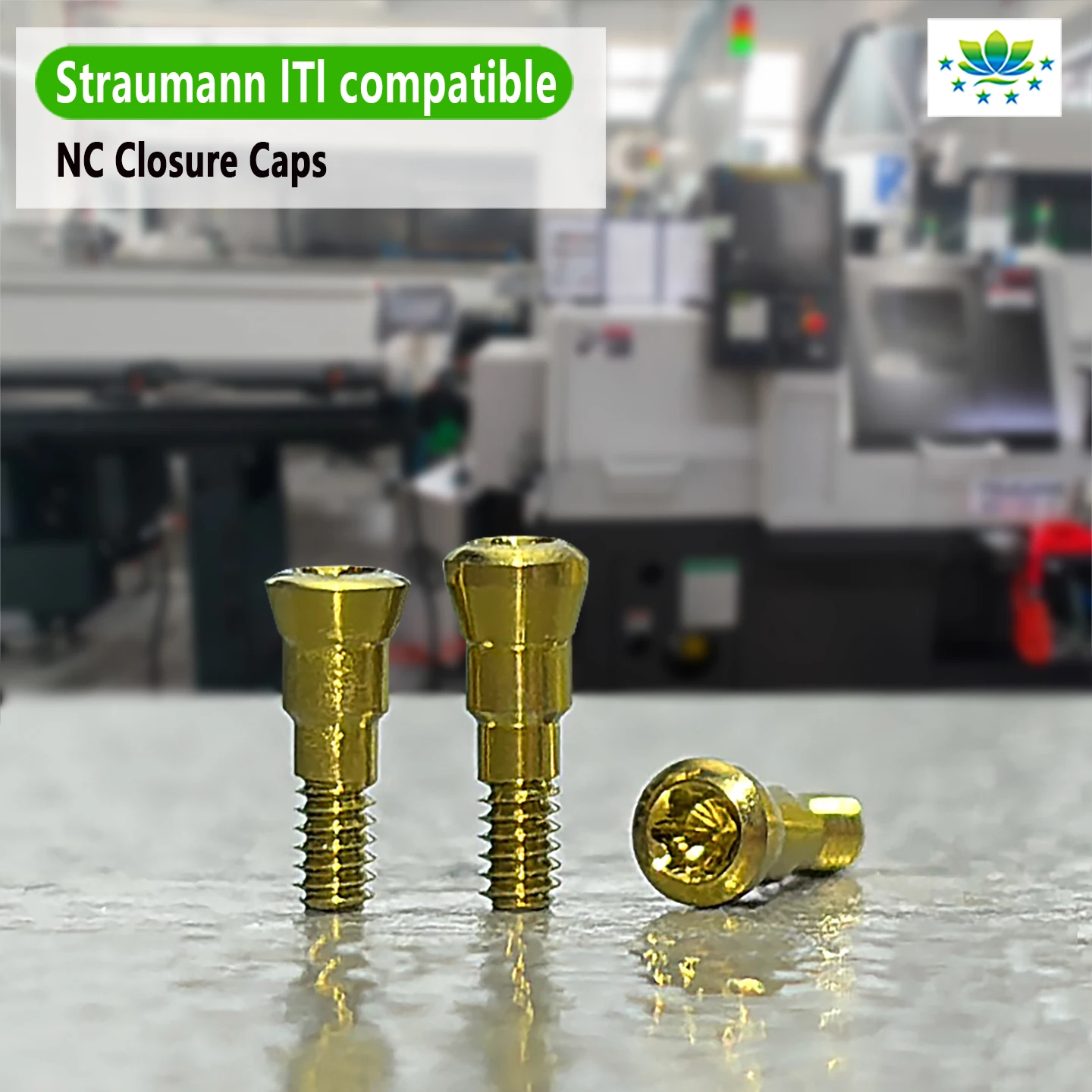 For Straumann Cover Screw with Paintcoat Grade 5 Titanium OEM ODM High Quality Factory Direct Stock Available Fast Shipping