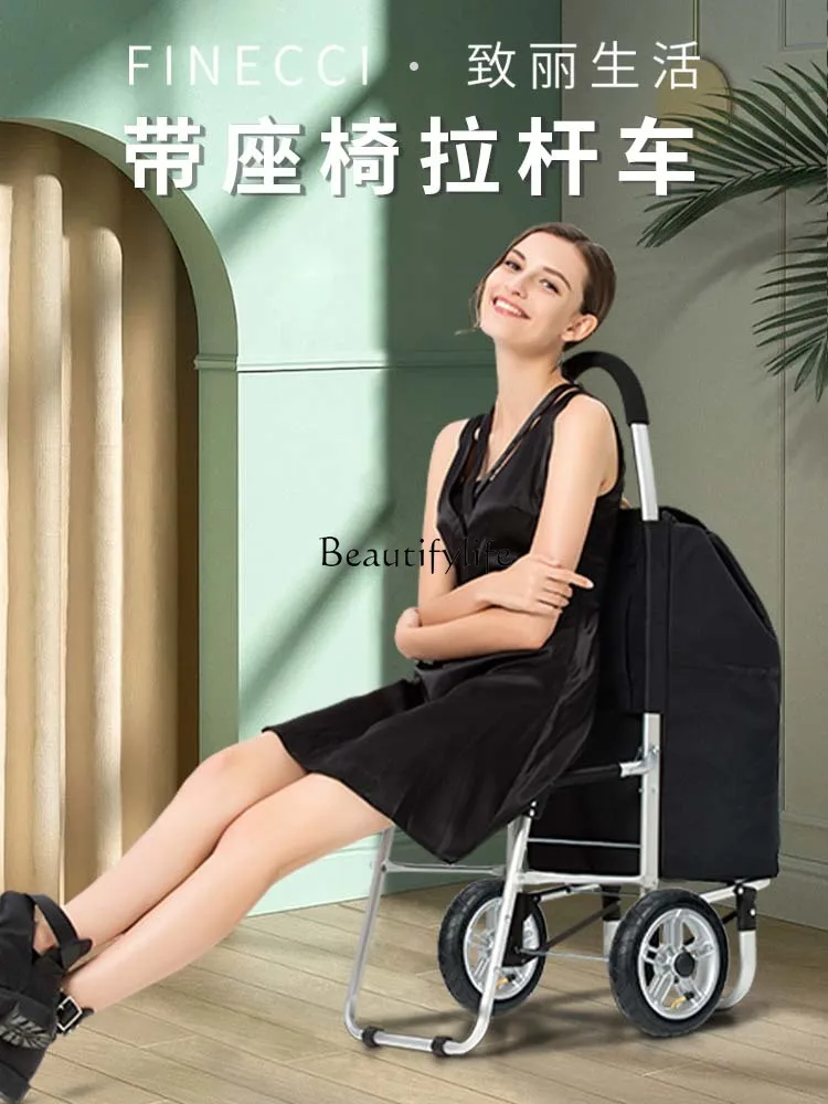 Chair Shopping and Shopping Luggage Trolley Waterproof and Foldable Trolley Portable Trailer for the Elderly