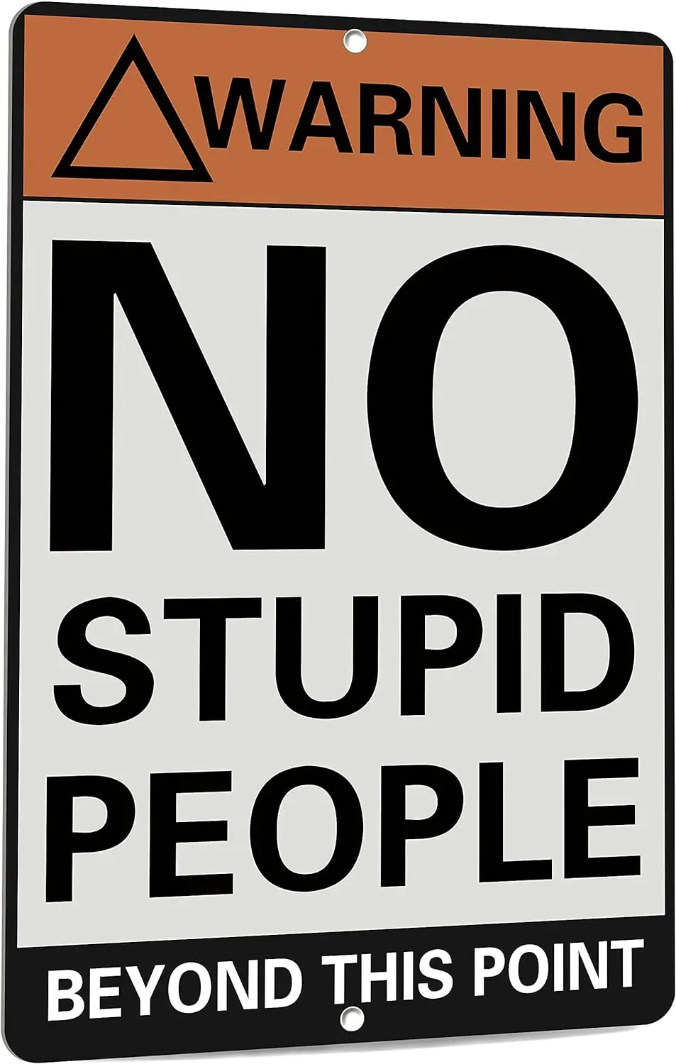 Vintage Metal Signs No Stupid People Beyond This Point Tin Sign for Bar Accessories Man Cave 12